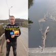 ОПАСНОСТ: Голяма върба се заклещи под моста в квартал “Чолаковци” във Велико Търново (ВИДЕО)